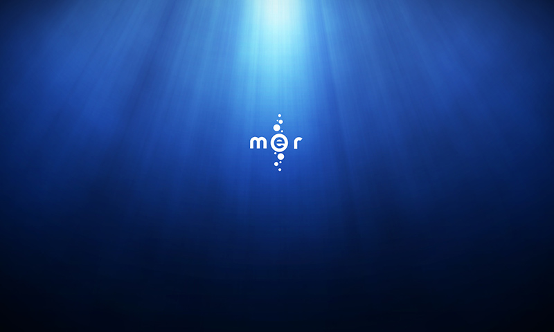 File:Mer Wazd Wallpaper With Logo 800x480.jpg
