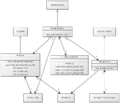 Thumbnail for version as of 20:49, 14 November 2009