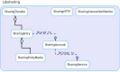 Thumbnail for version as of 06:47, 6 October 2009